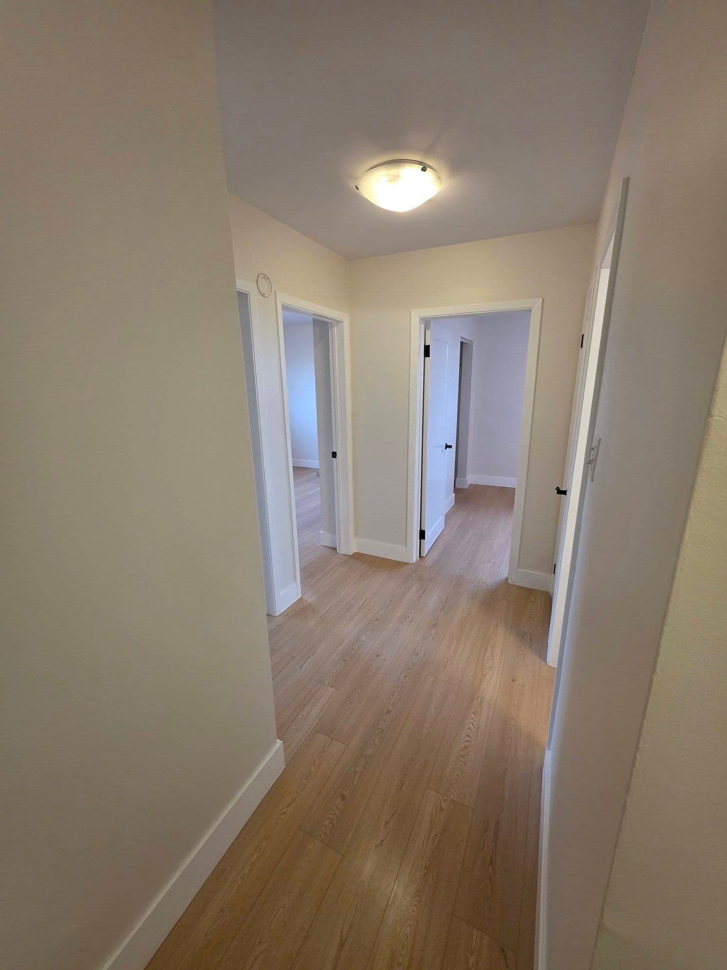 Finished hallway with light wood-look laminate flooring
